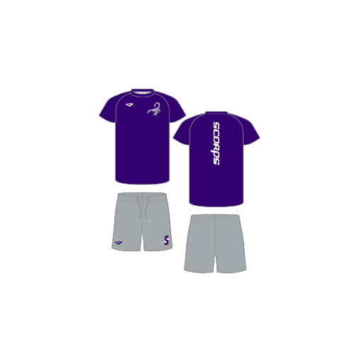 Scorpions Great Lakes Youth Sublimated Practice Set - Purple/Grey